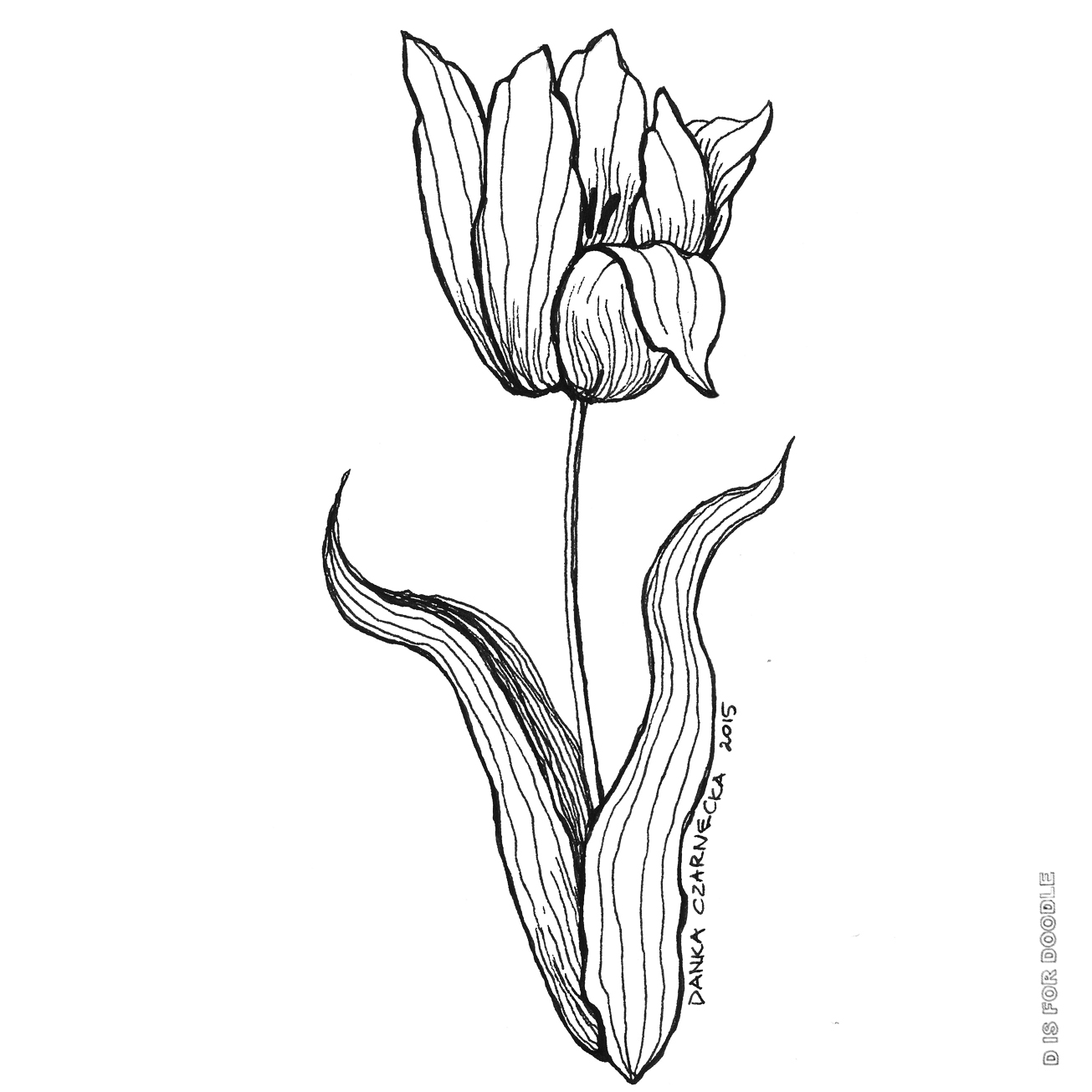 More tulips! | D is for Doodle